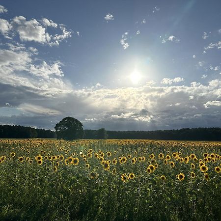 Urlaub Auf Dem Land Lägenhet Triepkendorf Exteriör bild