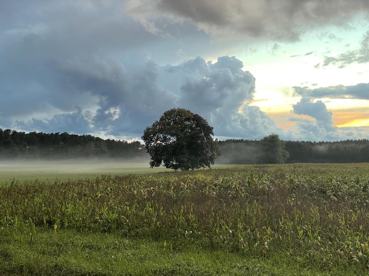 Urlaub Auf Dem Land Lägenhet Triepkendorf Exteriör bild